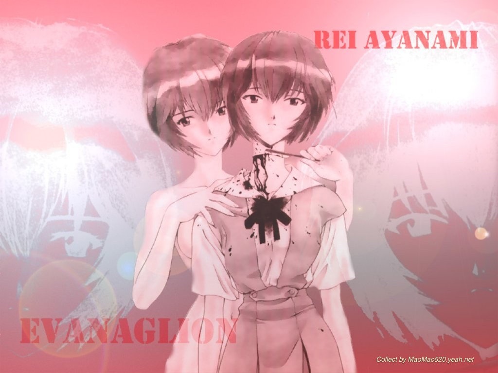 新世纪福音战士之 凌波丽 壁纸2