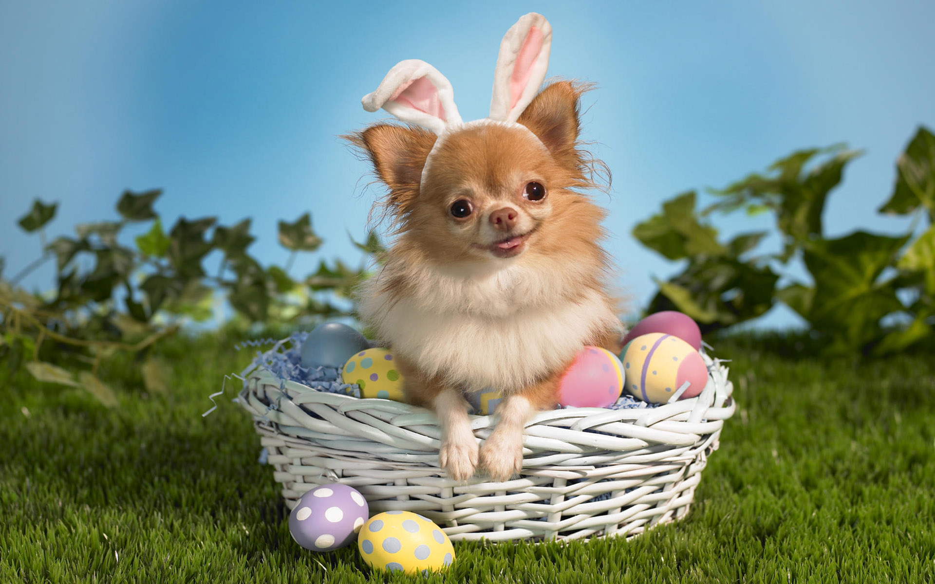 Скачать Easter.