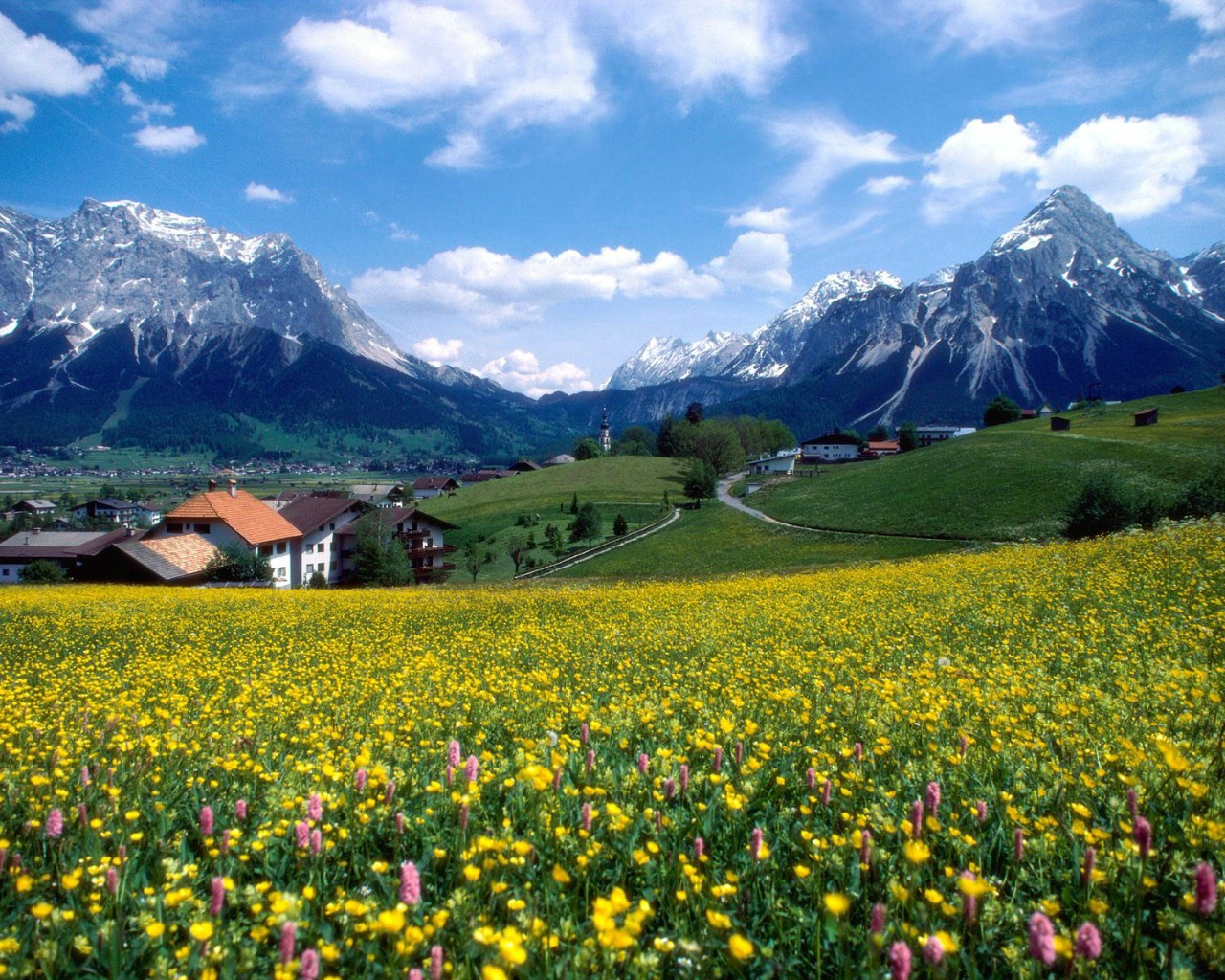 图片[3]_高清视频素材:风景【数万】_财神笔记