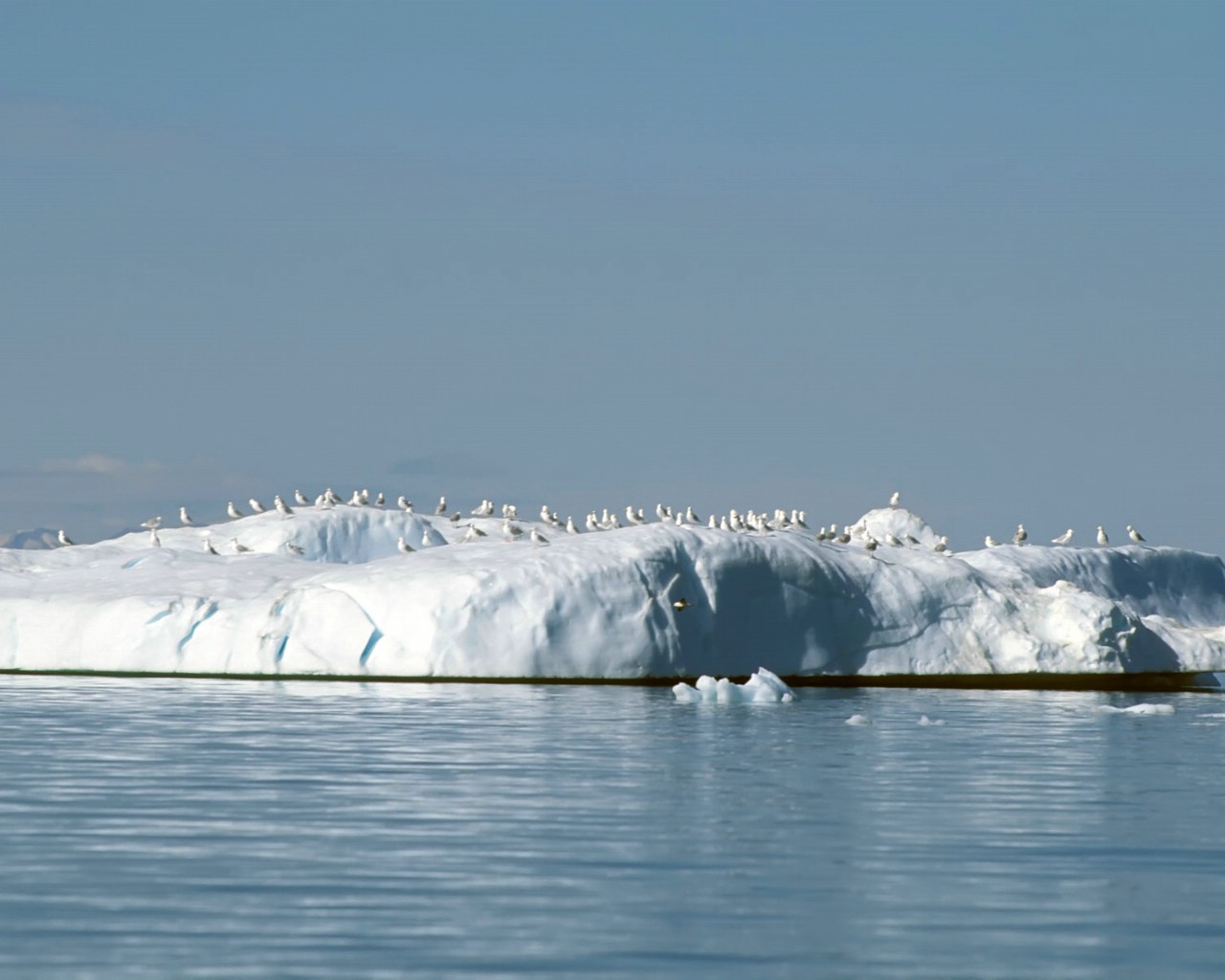 雪景 雪山 冰川 二 壁纸55