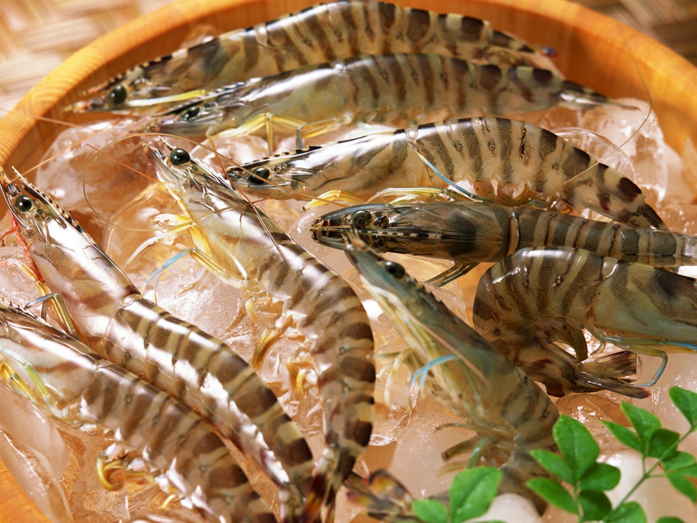 世界海鲜美食_海鲜美食图片_洞头海鲜美食街(2)