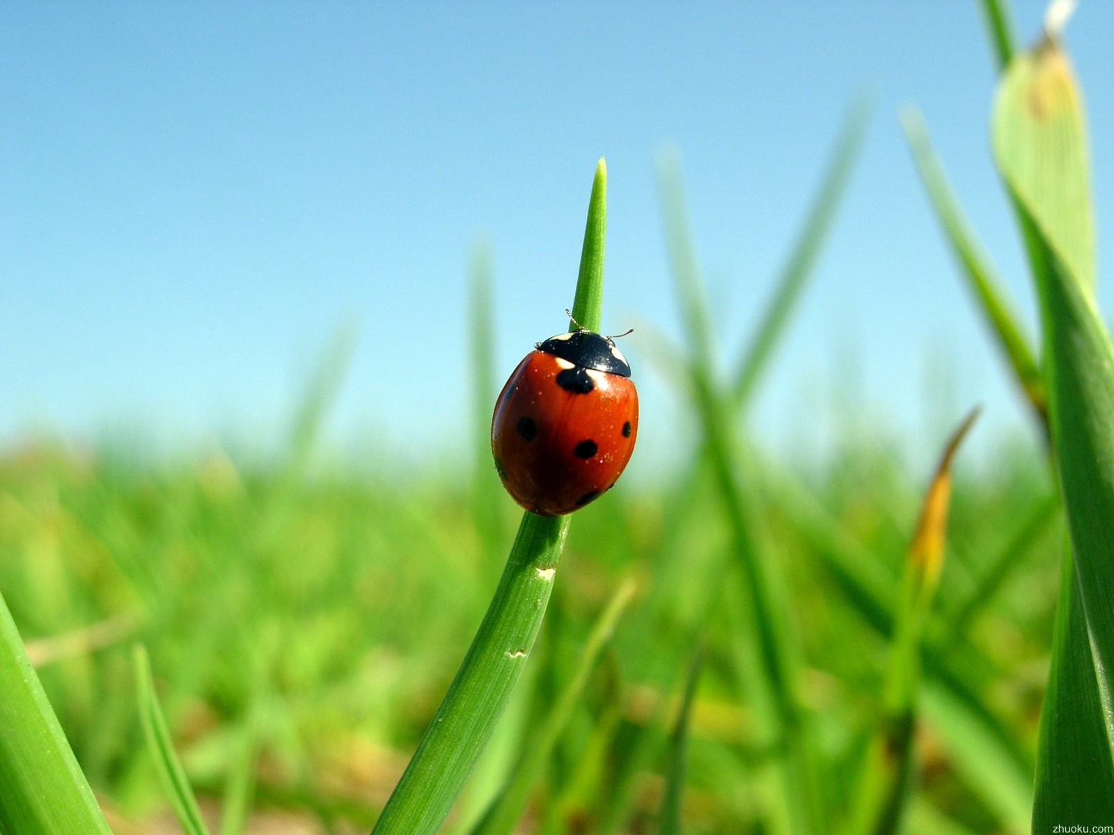 桌酷07 04 12精选套图 壁纸55
