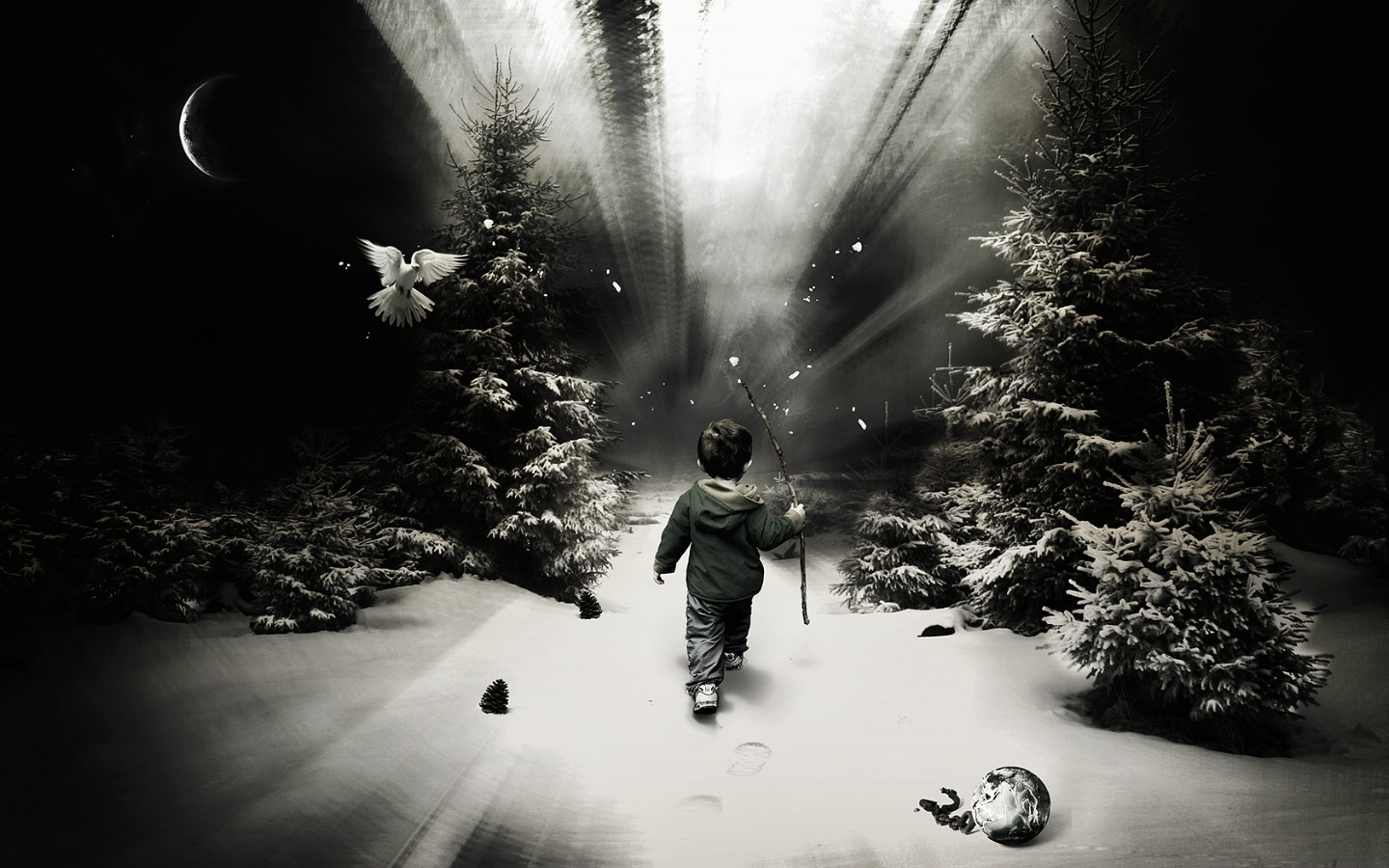 桌面壁纸+精选壁纸