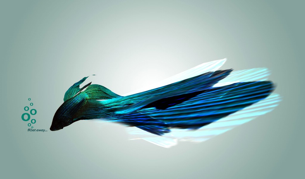 桌面壁纸+精选壁纸