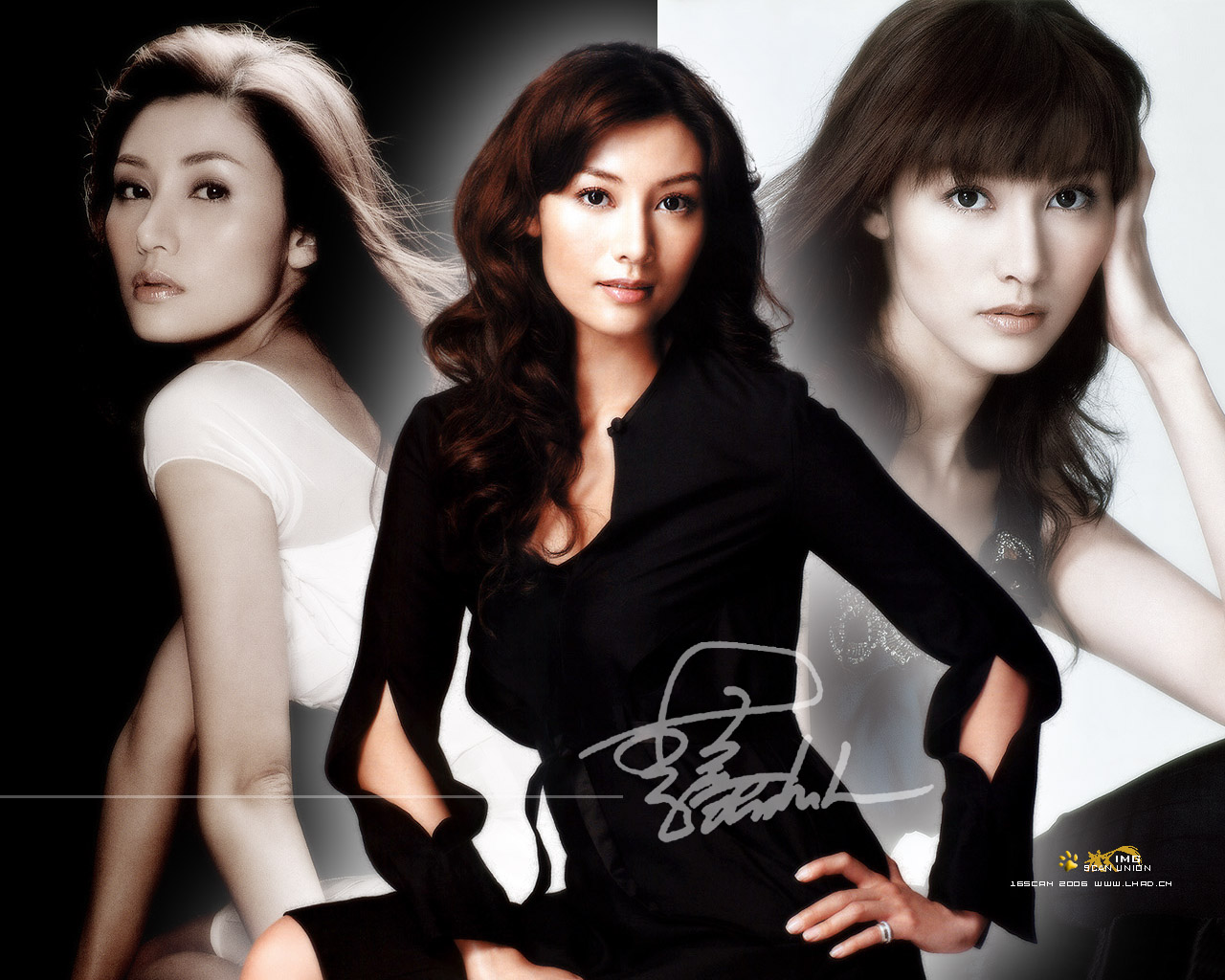 李嘉欣清纯写真壁纸 壁纸14