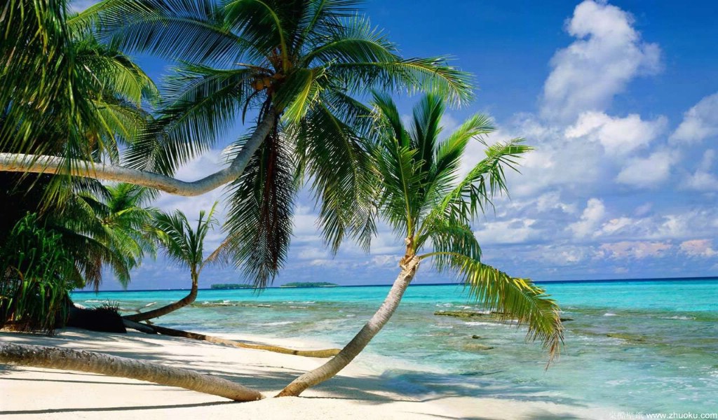 唯美旳<em>高清桌面壁纸</em>+<em>美女</em>旳<em>高清桌面壁纸</em>