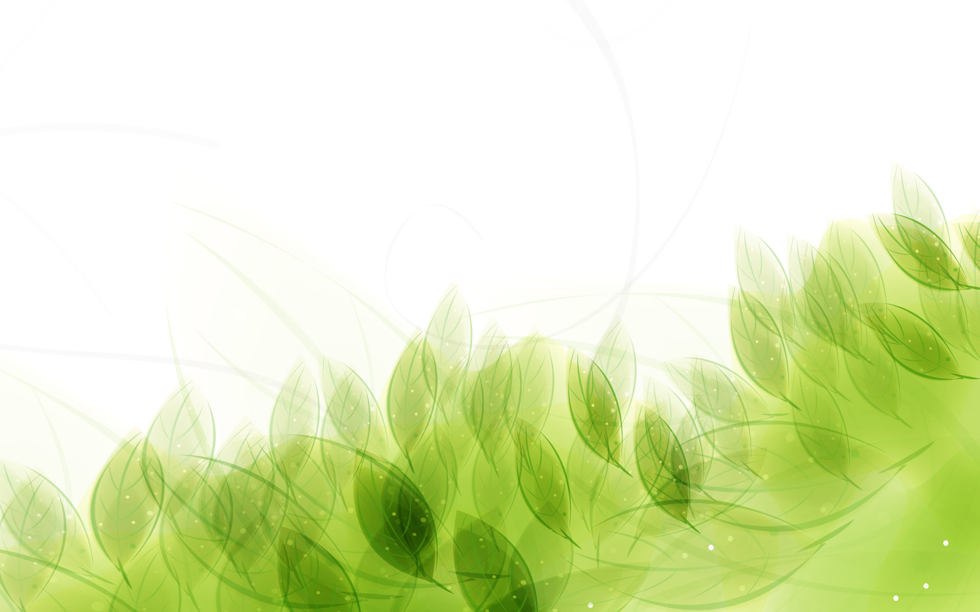 简约小清新绿色背景白色小花朵手机壁纸-比格设计