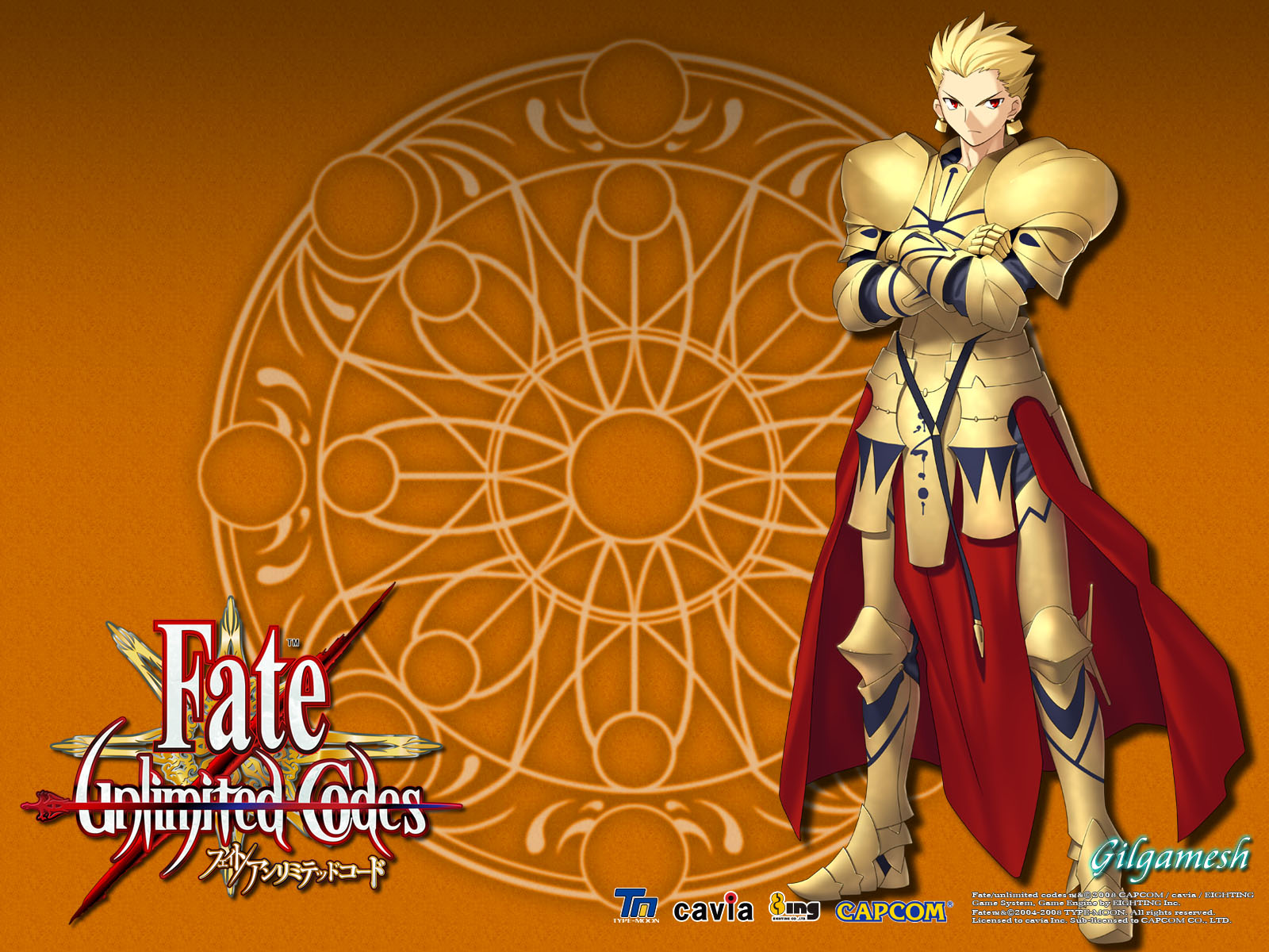 Fate unlimited codes 壁纸8